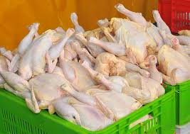 کاهش قیمت مرغ/ بحران در صنعت مرغداری