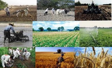 اختصاص ۲ هزار و ۲۵۰ میلیارد ریال تسهیلات اشتغال به بخش کشاورزی آذربایجان شرقی