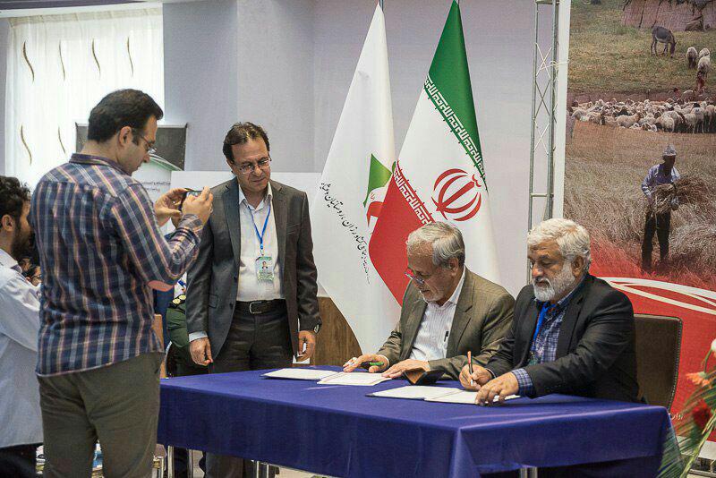 گزارش تصویری چهارمین اجلاس مدیران صندوق بیمه اجتماعی کشاورزان