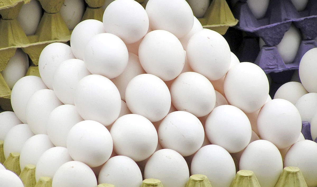 قیمت تخم مرغ درآذربایجان شرقی بالاتر از قیمت مصوب ستاد تنظیم بازار کشور