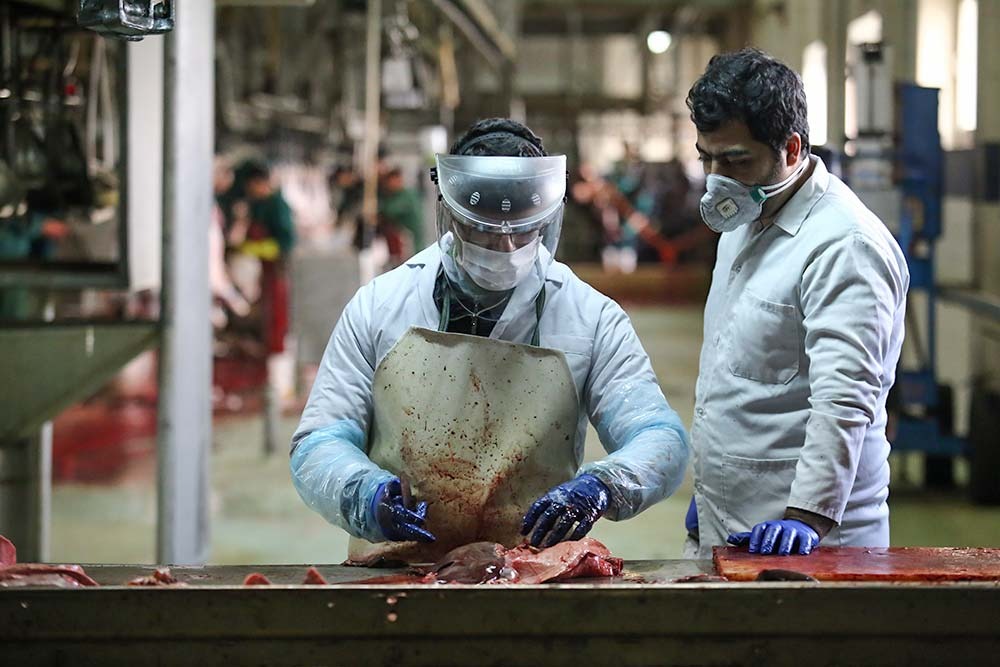 کنترل ۵ مرحله ای گوشت در کشتارگاه صنعتی تبریز